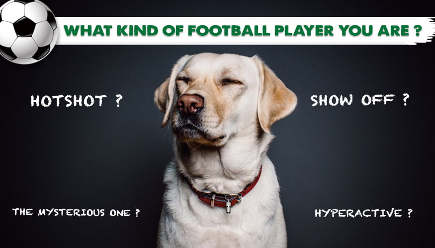 Kinds of Players in a Football Team