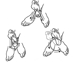 ankle rotation