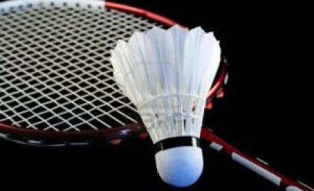 dodo badminton shuttlecock
