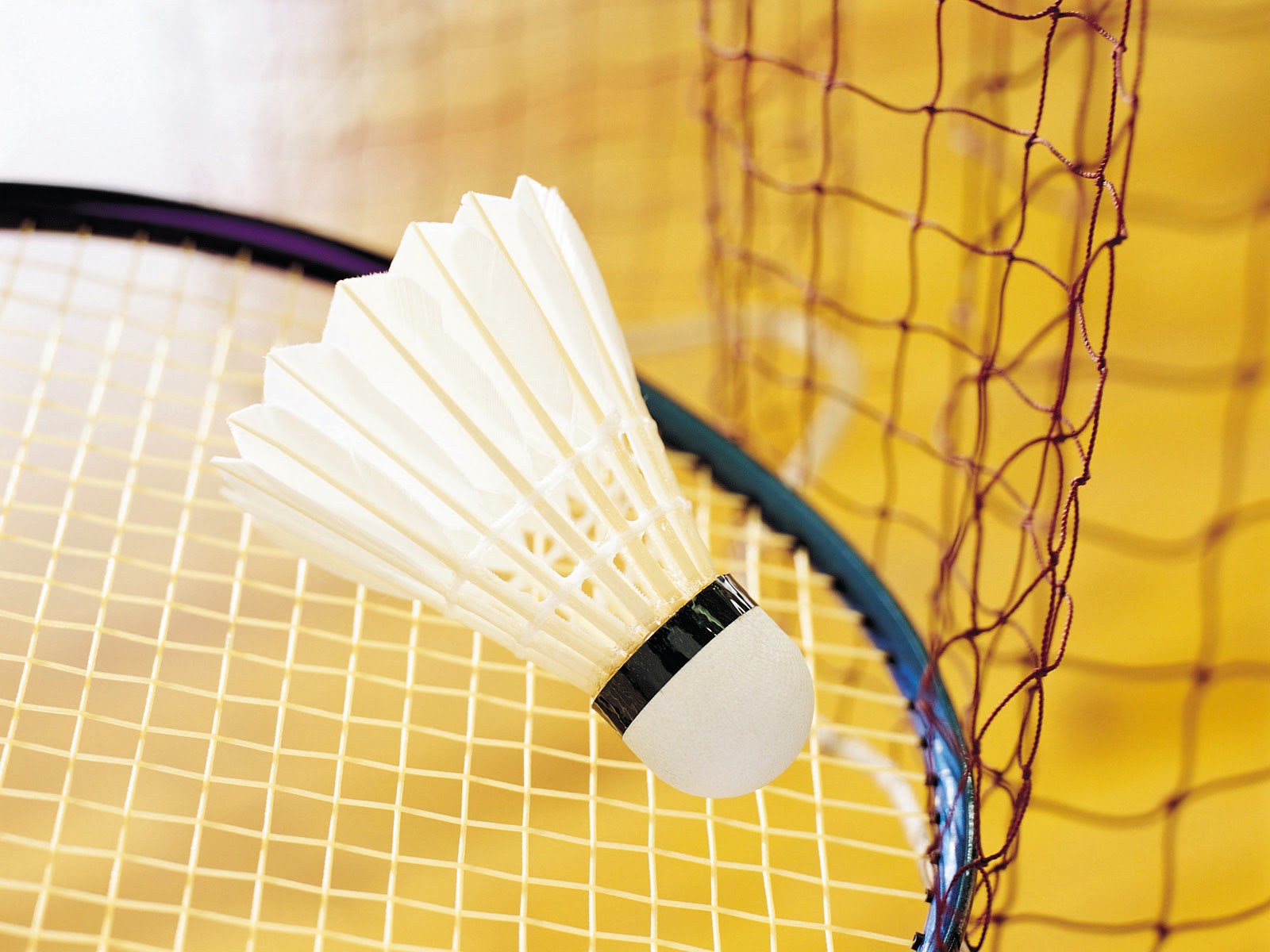 badminton hub online