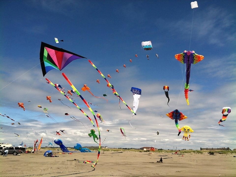 kite flying can also be considered a weird olympic sport!
