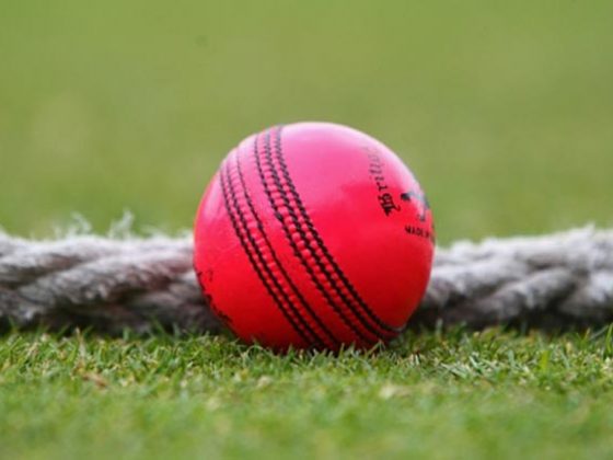 pink ball test cricket