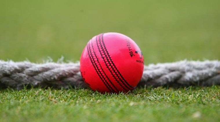 pink ball test cricket