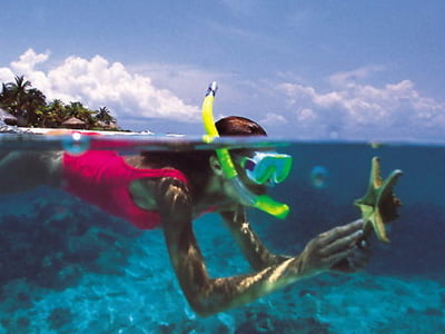 snorkeling goa