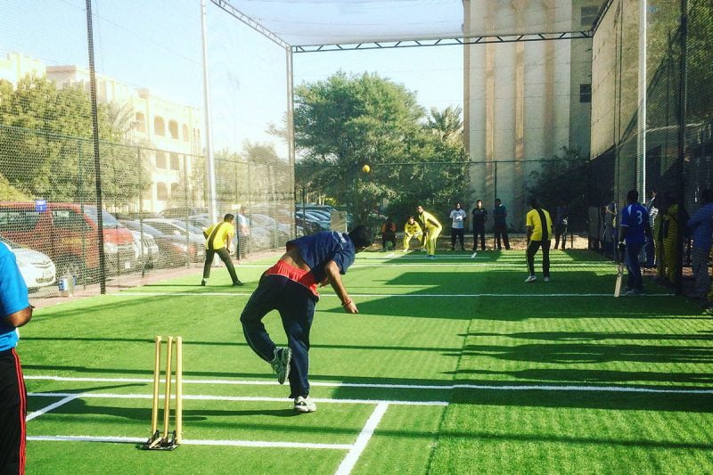 corporate sports day cricket
