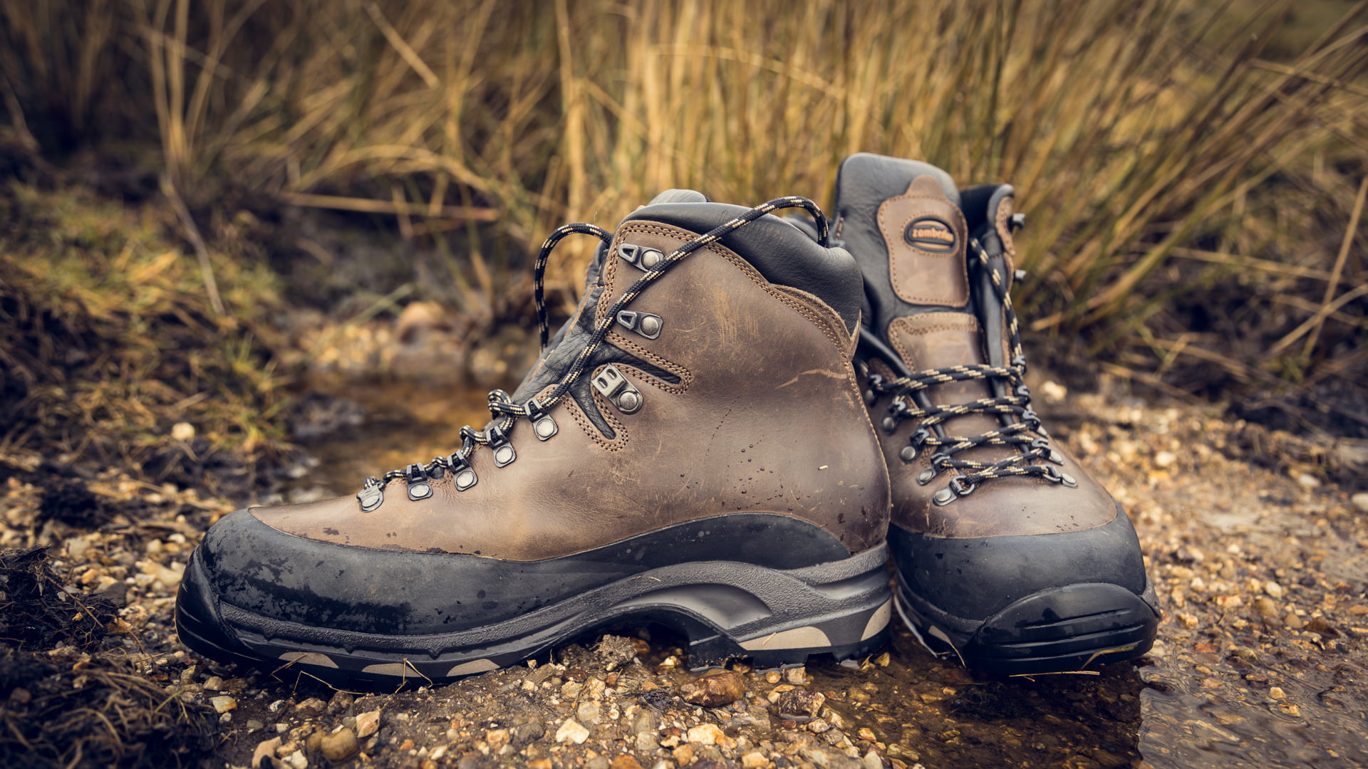 Rogue Trekking Shoe - Walking Shoes from Grisport UK-megaelearning.vn