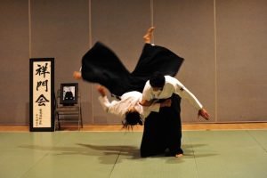 Aikido- Martial Art