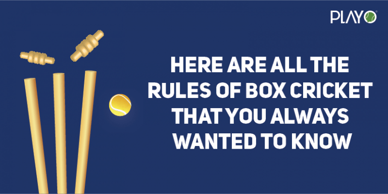 box-cricket-rules-that-you-always-wanted-to-know-playo