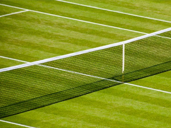 grass court tennis