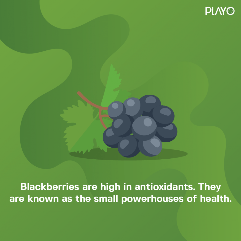 Blackberries are high in antioxidants. They are known as the small powerhouses of health.