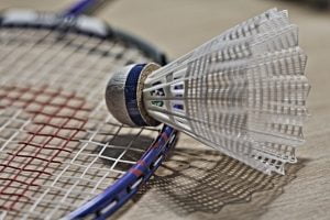 Badminton racket and a shuttle