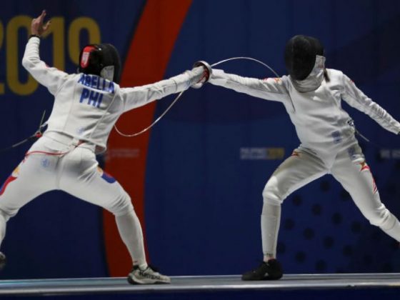 About Fencing the sport