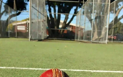 Mastering box cricket rules: A comprehensive guide