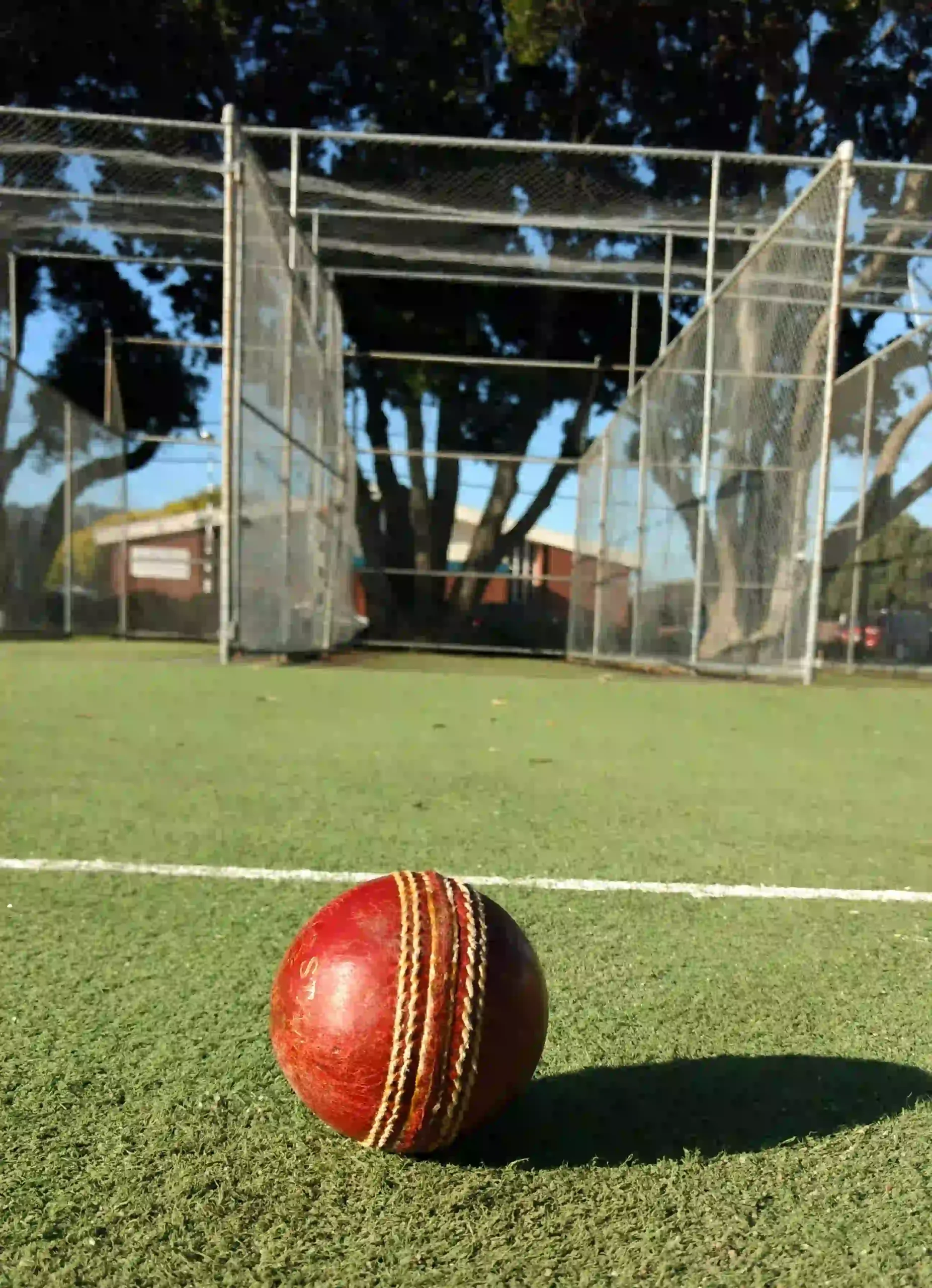 Box cricket pitch