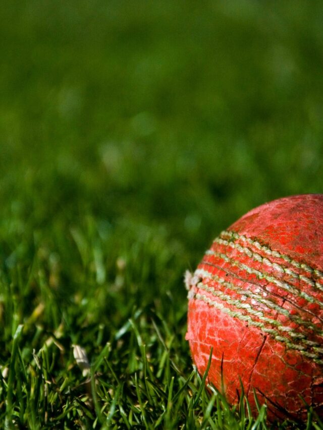 Cricket Ball Measurements: Everything You Need to Know