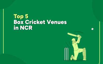 Top 5 Box Cricket Venues in NCR