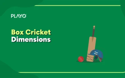 Box Cricket Ground and Pitch Dimensions
