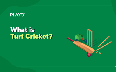 What is Turf Cricket?