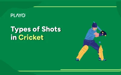 Types of Shots in Cricket