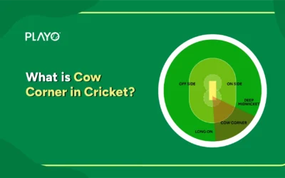 What is Cow Corner in Cricket?