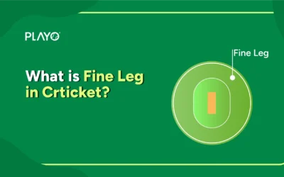 What is Fine Leg in Cricket?