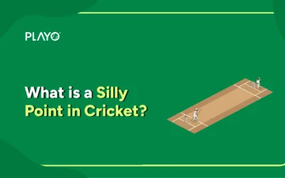 What is a Silly Point in Cricket?