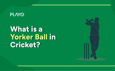 Yorker Ball in Cricket: Meaning, Types, and How to Bowl It