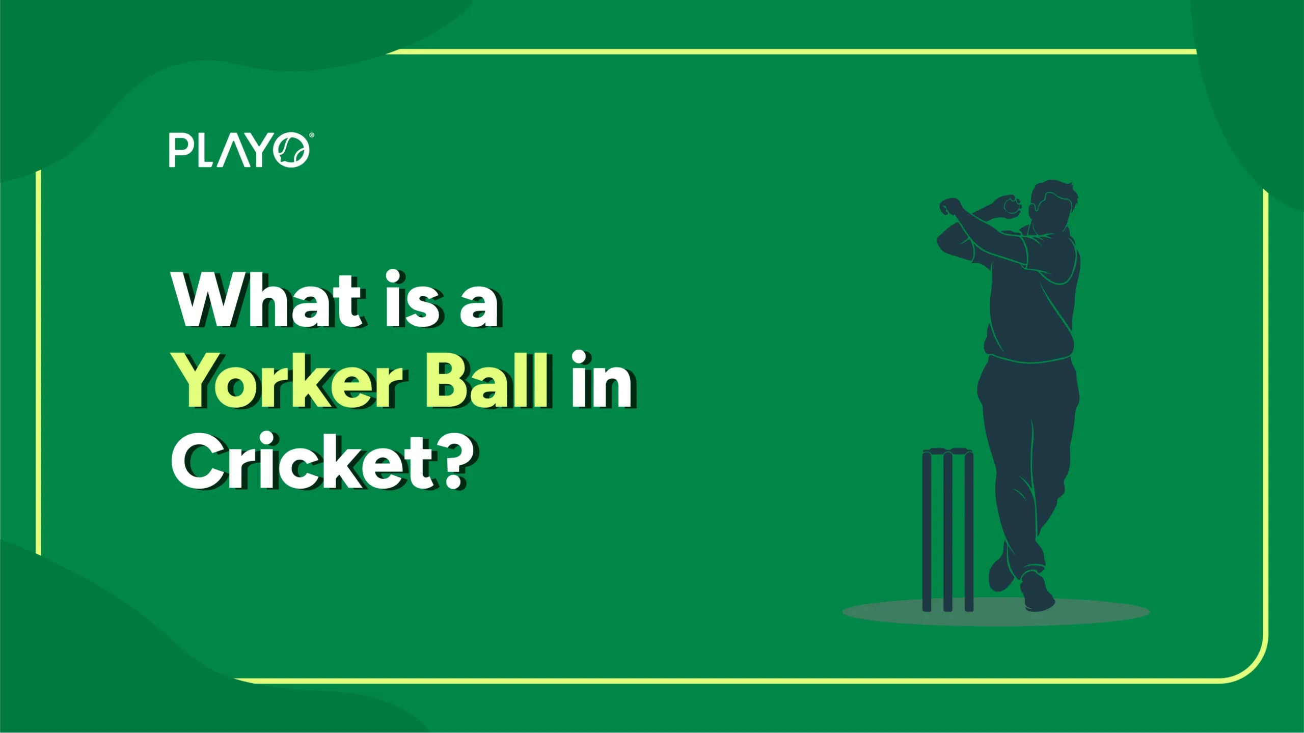 Yorker Ball in Cricket