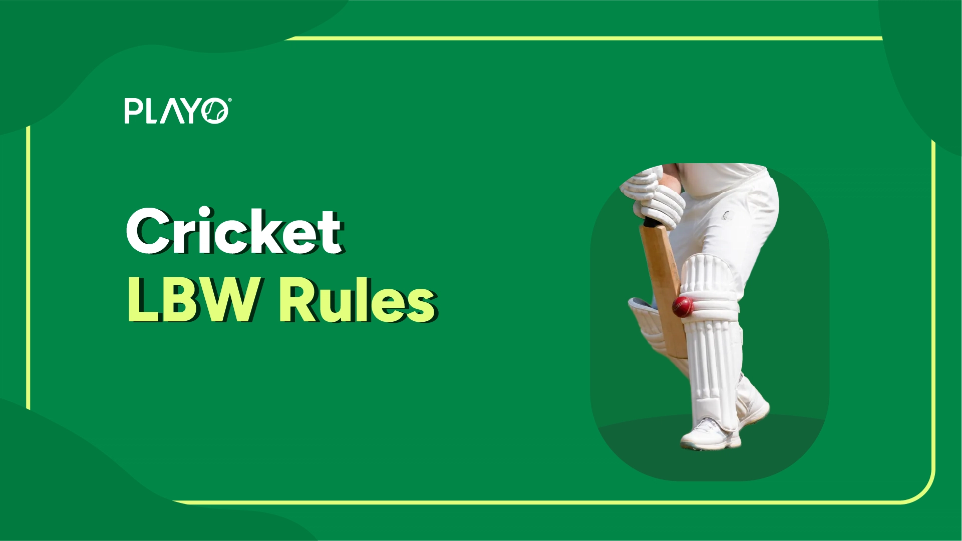 Cricket LBW Rules