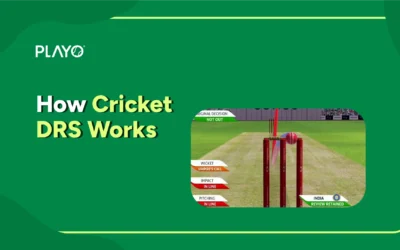How DRS Works in Cricket